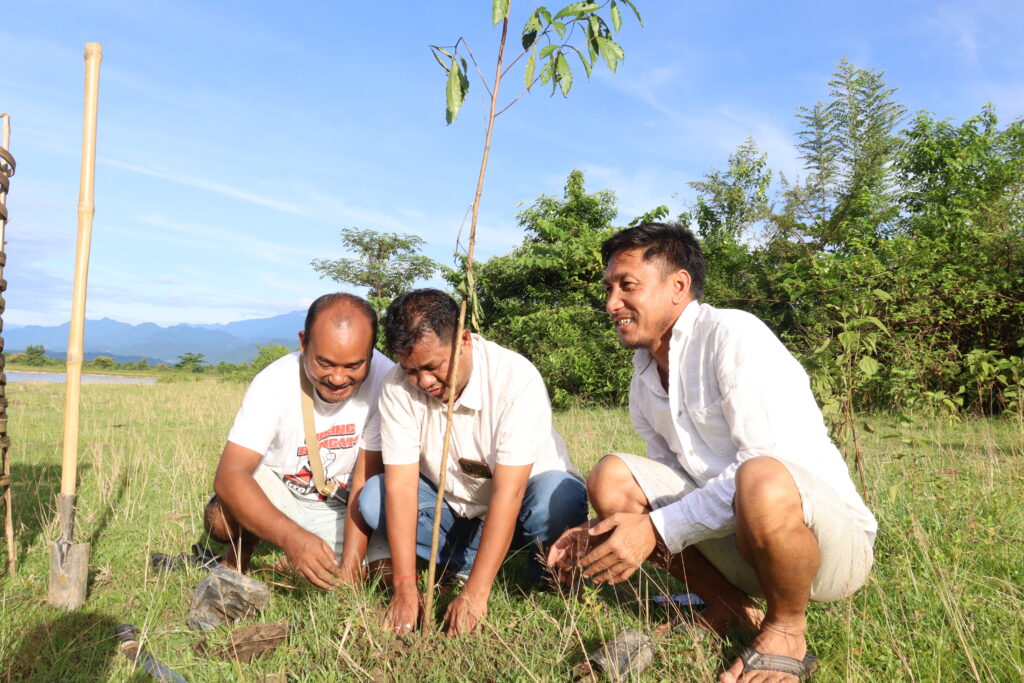 বৃক্ষৰোপণ