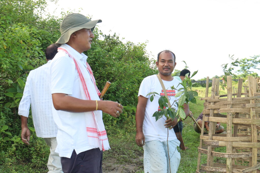 বৃক্ষৰোপণ