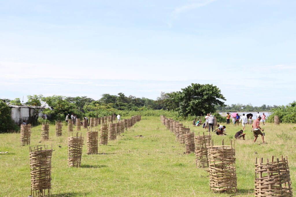 বৃক্ষৰোপণ